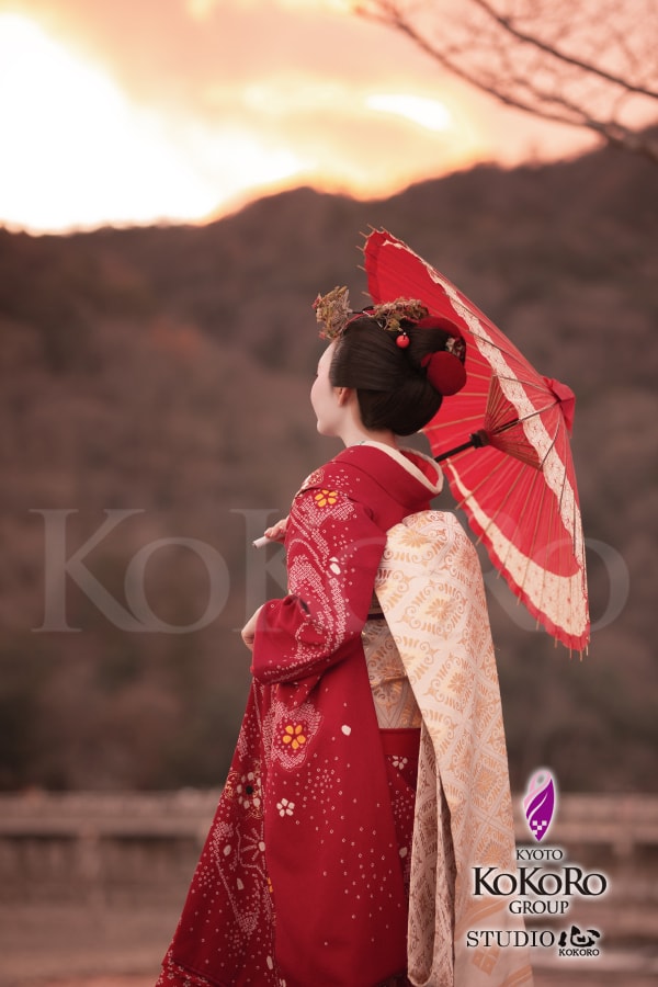 人気 かつら清 京都 芸妓 舞妓 前櫛 簪 クリア 夏物 うちわ 紫陽花